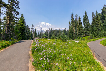 Poster - Summer landscape in mountains. Narrow trail high in the mountains. Amazing view at the snowy peaks which rose against the blue sky. MOUNT FREMONT LOOKOUT TRAIL, Sunrise Area, Mount Rainier