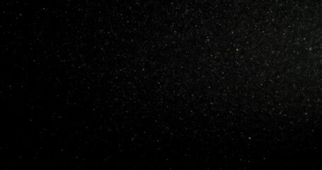 Wall Mural - organic dust particles floating on black background. glittering sparkling flickering overlay.