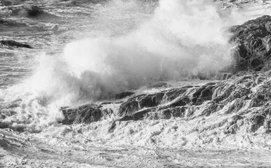 Wall Mural - Winter storm against the beach. Waves and wind