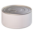 3D rendering model of a fish tin can isolated on a white background. 3D image of a mockup of an iron container for canned food.