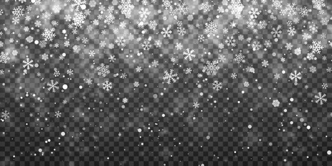 Wall Mural - Christmas snow. Falling snowflakes on transparent background. Snowfall. Vector illustration