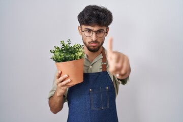 Poster - Arab man with beard holding green plant pot pointing with finger up and angry expression, showing no gesture