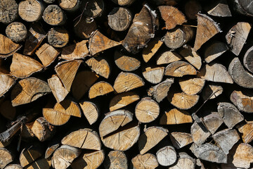 Wall Mural - Log trunks pile, the logging timber forest wood industry. Sawn trees from the forest. Heavy wood trunks. 