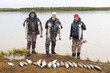 © Mat Hayward - Group of three men holding large Coho salmon on the bank of the Egegik river in Alaska. On the ground in front of them a many more silver fish after a successful day fishing for the fishermen.
