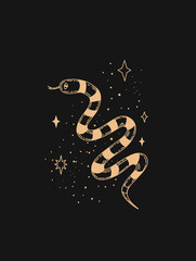 Wall Mural - magic snake. logo in modern style. snake logo in the starry sky. vector linear icon. boho design tem