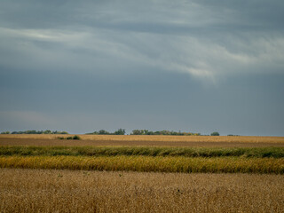 Prairie field awaiting harvest