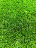 Fototapeta  - Abstract background with artificial green grass