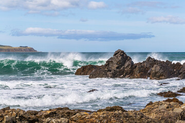 Wall Mural - Coastal view from Wahine Memorial Park in Wellington, New Zealand