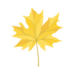 Poster - Autumn Maple Leaf