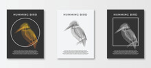 Humming Birds. Set Of Vector Posters With Birds. Line Art Illustrations . Background Images For Cover, Banner, Poster. T-shirt Print.