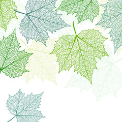 Wall Mural - печатьfloral vector background with autumn leaves. plant print for holiday poster, greeting card, co