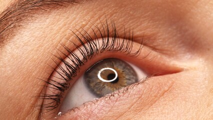 A woman's eye with long black eyelashes after lamination. Closeup opened girl's eye  with long black eyelashes. Close-up of the woman eye with long black lashes.