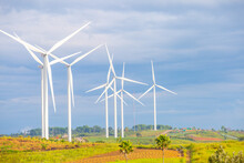 Wind Farms For Generating Electricity, A Clean Alternative Energy That Does Not Cause Pollution And Negatively Affect The Global Climate Change.