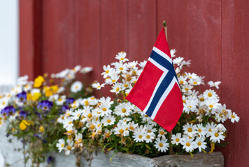 Flowers and Norwegian flag - stock photo