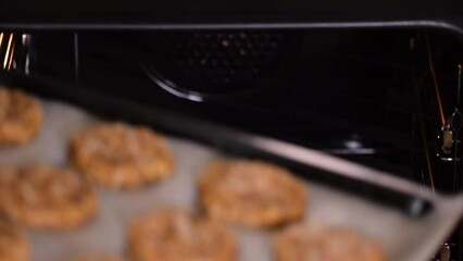 Wall Mural - A woman puts in the oven a baking tray with oatmeal cookies. Baking process.