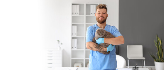 Wall Mural - Male veterinarian with Scottish fold cat in clinic. Banner for design