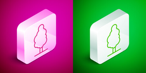 Poster - Isometric line Tree icon isolated on pink and green background. Forest symbol. Silver square button. Vector