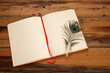 Open notebook and peacock feather on wooden background