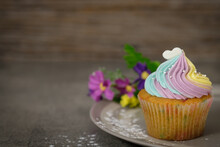 Cupcake With Icing