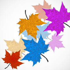 Wall Mural - colorful autumn maple leaves on white background