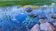 Rocks And Water Lilies In A Wetland Landscape With Mountain Reflections On The Water