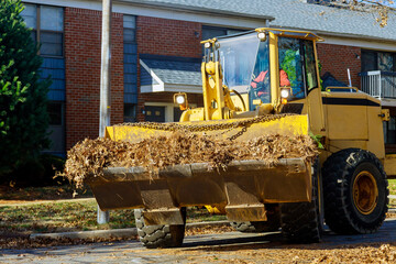 Wall Mural - During autumn, workers from municipalities over the entire city clean up fallen leaves near houses by excavators trucks