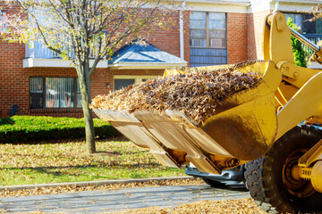 Wall Mural - In autumn, municipal workers clean remove fallen leaves with excavator a truck near houses