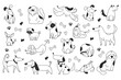Doodle sketch line art animal dogs puppy characters hand drawn isolated set. Vector graphic design element illustration