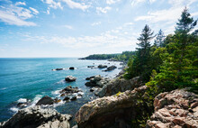 View Of The Cutler Coast, Maine 