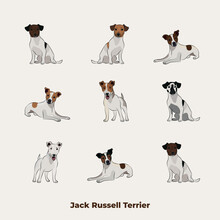 Jack Russell Terrier Breed, Dog Pedigree Drawing. Cute Dog Characters In Various Poses, Designs For Prints Adorable And Cute Bulldog Cartoon Vector Set, In Different Poses. All Popular Colors.