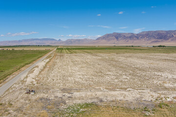 Wall Mural - Aerial view of a dirt road running through a valley with alfalfa fields in Northern Nevada.