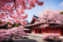 Beautiful Japan Temple In Blossoming Sakura Garden, Pink Cherry Trees, Nature Background Wallpaper