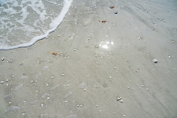 Wall Mural - Clear water of Sanibel island in Florida, USA