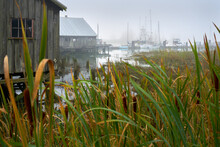 Britannia Shipyards Docks And Marsh. A Misty Fog Settles On The Historic Britannia Heritage Shipyard And Docks On The Banks Of The Fraser River In Steveston, British Columbia, Canada.

