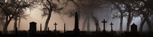 Halloween Background With Graveyard. Spooky Scene With Tombstones And Trees Enveloped In Pale Fog.