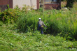 休耕田の雑草の草刈りをする男性たち