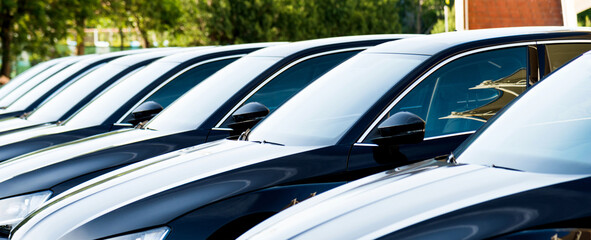 Wall Mural - Group of black cars parked in a row