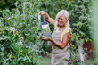 © Halfpoint - Mature woman in garden at home watering vegetables.
