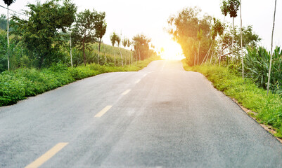 Wall Mural - Straight country road with the trees