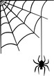 © nazar12 - Vector illustration of spider web and hanging spider.