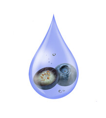 Wall Mural - Blueberry serum oil drop isolated on white