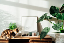 Modern Minimalist Style Interior With White Poster Mockup, Candles And Relaxed Cat On A Wooden Console With Tropical Green Home Plants Under Sunlight And Shadows On A Gray Wall. Selective Focus.