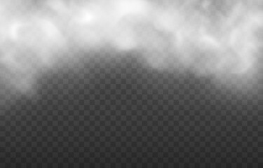 White fog texture isolated on transparent background. Steam texture illustration. Powder explosion concept. Fog or smoke.