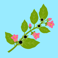 Sticker - Flowering twig with berries, illustration