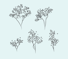 Baby's breath gypsophila vector flowers set.