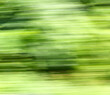 © schankz - Green nature in summer in motion.
