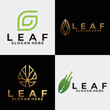 leaf logo set icon vector