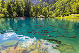 Fototapeta  - View of Blausee (The Blue lake) in Bernese Oberland, famous tourist destination in Switzerland