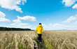 © xy - Young boy walking in the middle of paddy field