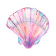 shell on transparent background
